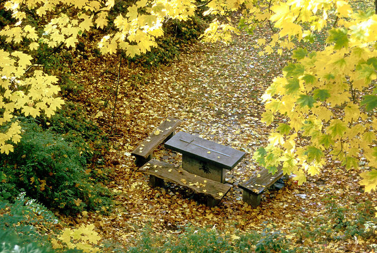 Foto: Wolfgang Detemple